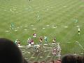 Hibernian