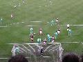 Hibernian