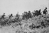 Battle of Gallipoli