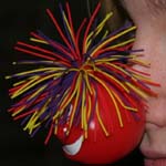 PPP Red Nose Concert