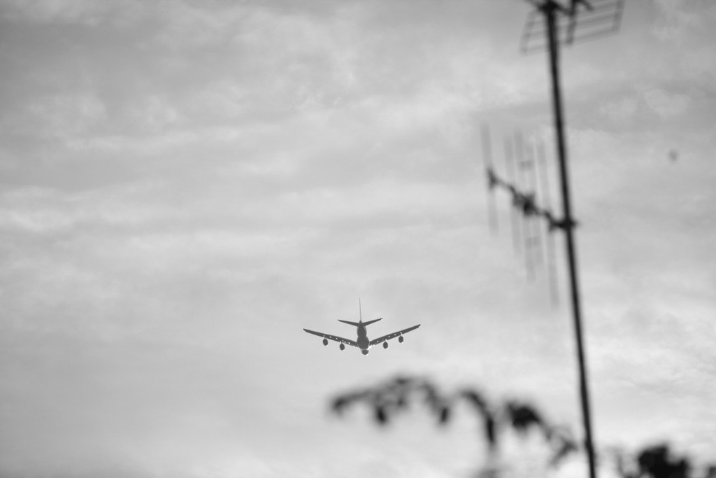 IMG_6980_0340
