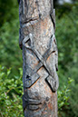 Totem_15