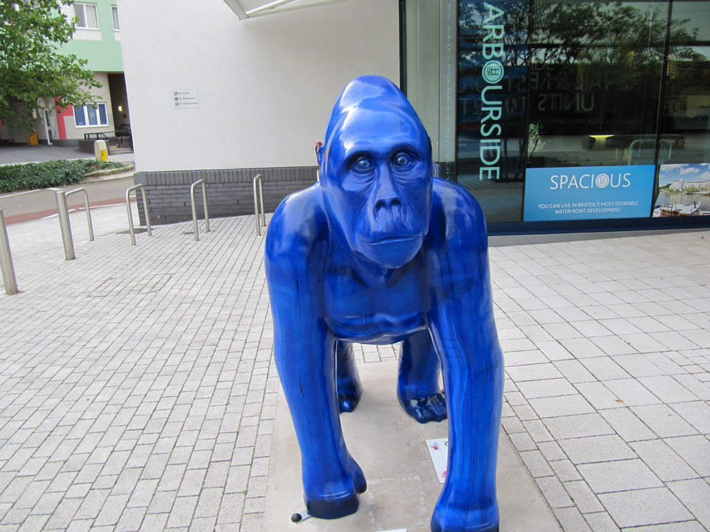 Gorilla_06_03