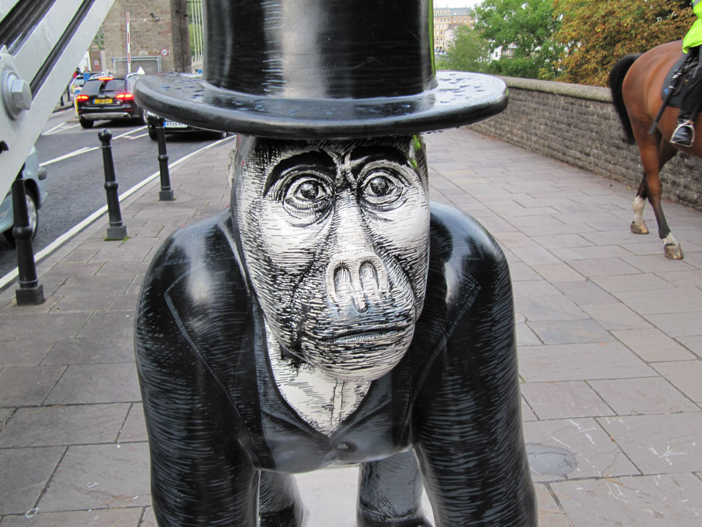Gorilla_43_06