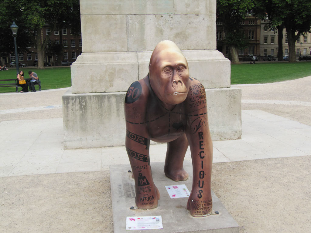 Gorilla_15_03