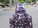 Gorilla_10_03