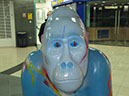 Gorilla_46_03