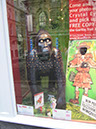 Gorilla_18_03