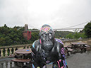 Gorilla_40_03