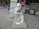 Gorilla_24_02