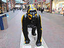 Gorilla_28_01