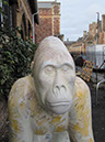 Gorilla_45_03