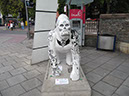 Gorilla_24_01