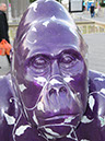 Gorilla_10_04