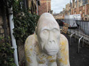 Gorilla_45_02