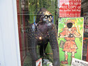 Gorilla_18_05