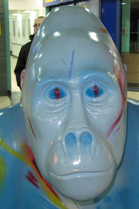 Gorilla_46_03 copy