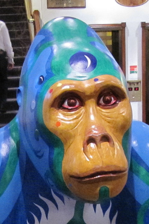 Gorilla_20_01 copy