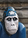 Gorilla_08_03