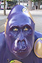 Gorilla_12_02 copy