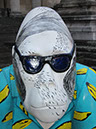 Gorilla_48_05