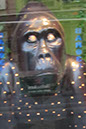 Gorilla_18_03 copy
