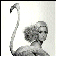 David_Bailey08