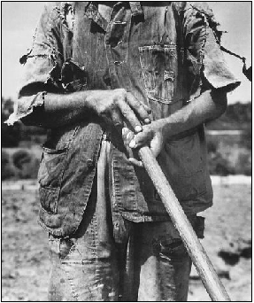 Dorothe_ Lange03