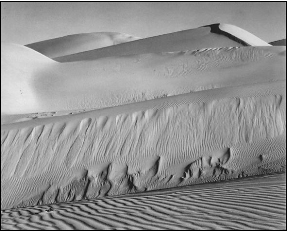 Edward_Weston06