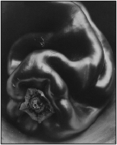 Edward_Weston09