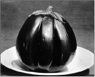 Edward_Weston12