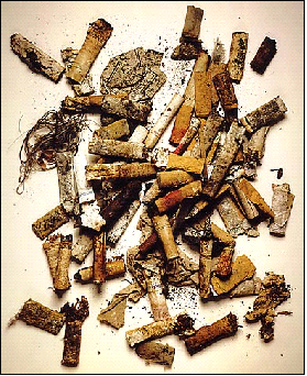 Irving_Penn01