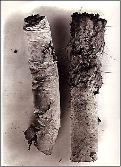 Irving_Penn02