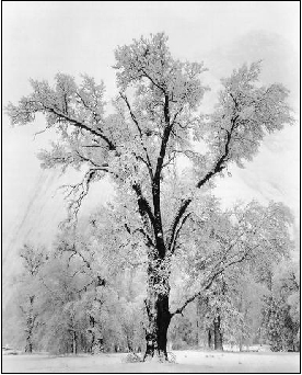 ansel_adams02