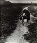 Bill_Brandt02