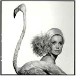 David_Bailey08