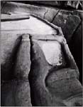 Edward_Weston01