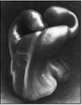 Edward_Weston11
