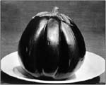 Edward_Weston12