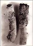 Irving_Penn02