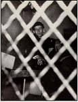 Weegee07