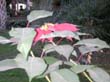 DSCN3841