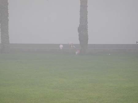 DSCN3329