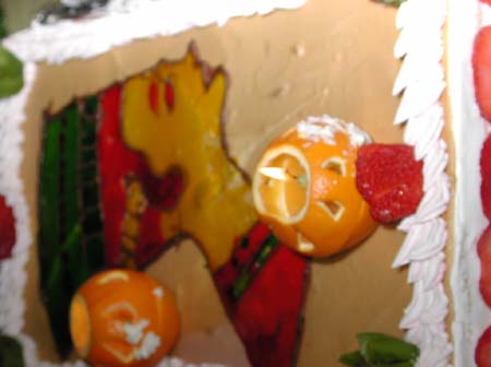 DSCN3663