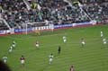 hibs0054