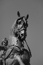 IMG_9470