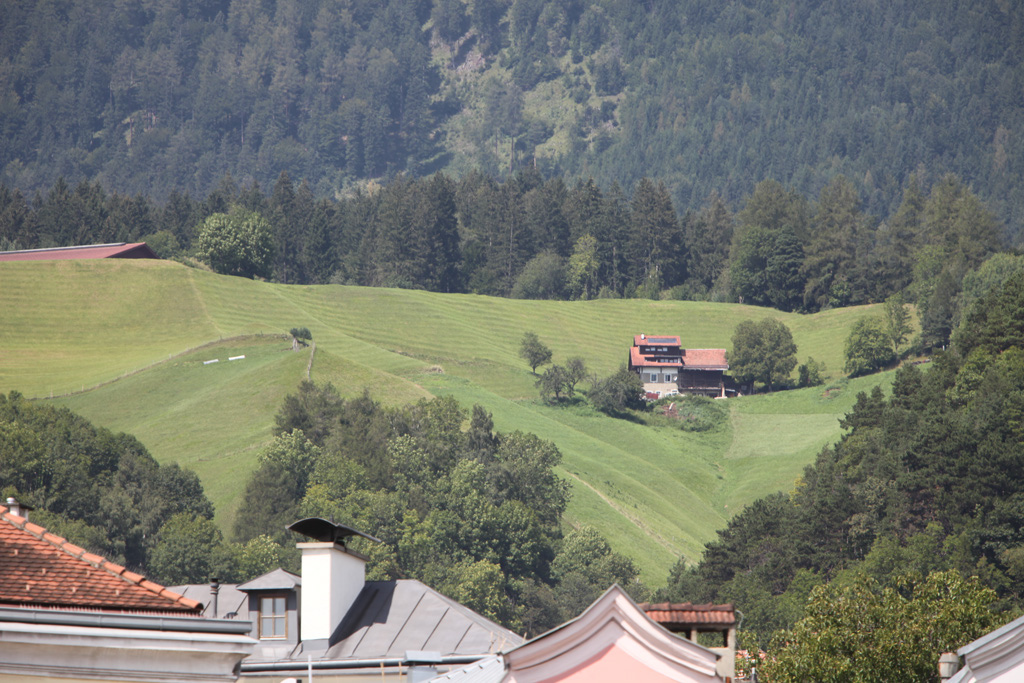 IMG_9695