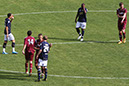 Millwall113