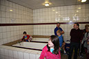 IMG_8689_4851