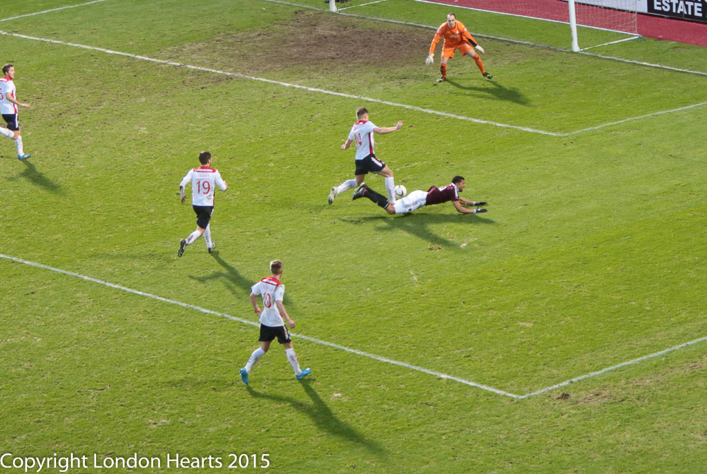 HMFC7813